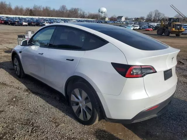 2020 Tesla Model Y