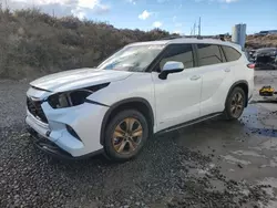 Run And Drives Cars for sale at auction: 2023 Toyota Highlander Hybrid Bronze Edition