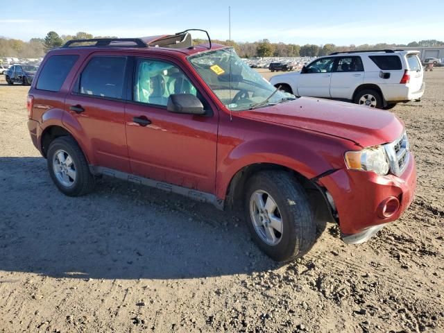 2012 Ford Escape XLT