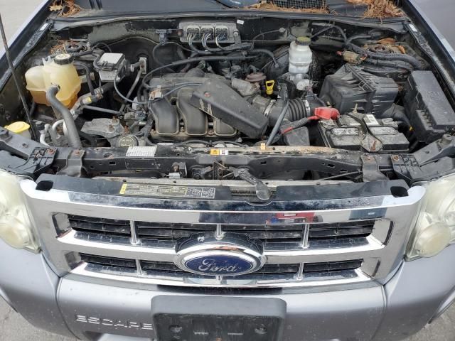 2008 Ford Escape XLT