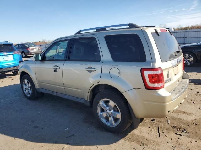 2011 Ford Escape Limited