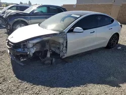 Tesla Model 3 salvage cars for sale: 2021 Tesla Model 3