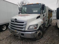 Salvage trucks for sale at Avon, MN auction: 2019 Hino 258 268