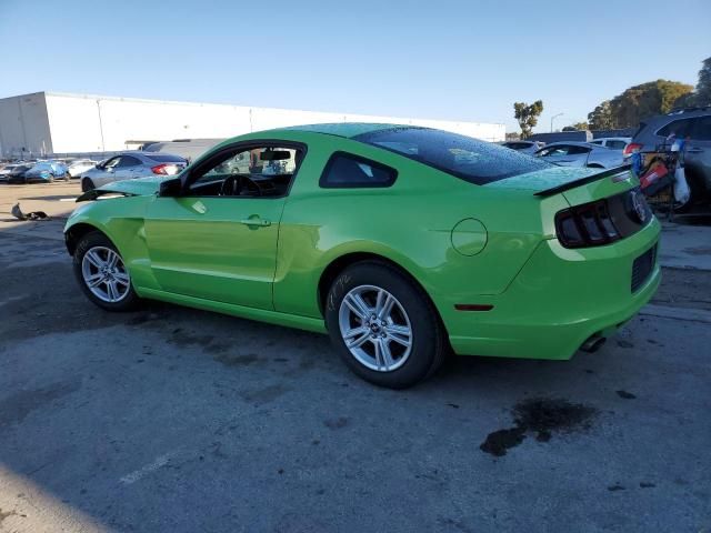 2013 Ford Mustang