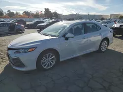 Salvage cars for sale at Martinez, CA auction: 2023 Toyota Camry LE