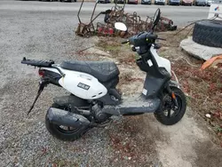 2021 Genuine Scooter Co. Roughhouse 50 en venta en Riverview, FL