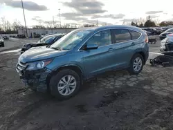 Salvage cars for sale from Copart Fort Wayne, IN: 2013 Honda CR-V EXL