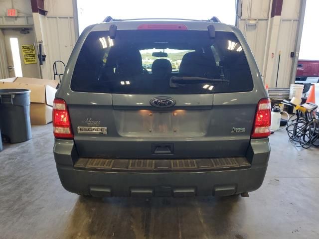 2011 Ford Escape XLT