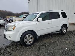 Honda Vehiculos salvage en venta: 2009 Honda Pilot EXL