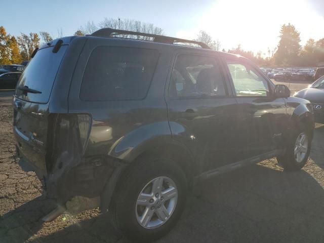 2010 Ford Escape Hybrid