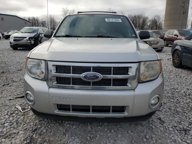 2009 Ford Escape XLT