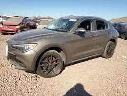 Alfa Romeo salvage cars for sale: 2019 Alfa Romeo Stelvio TI