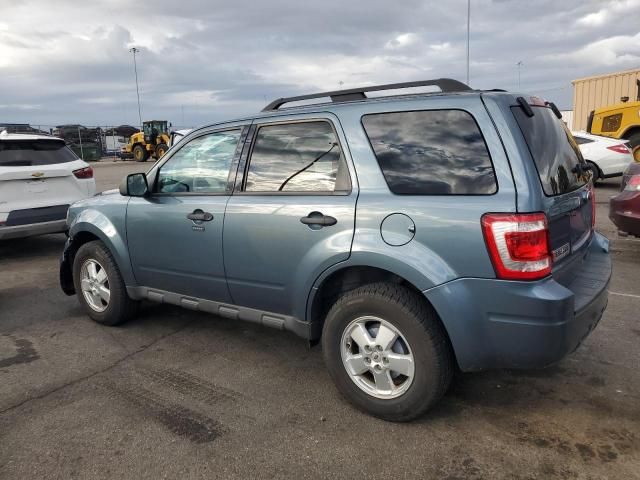 2011 Ford Escape XLT