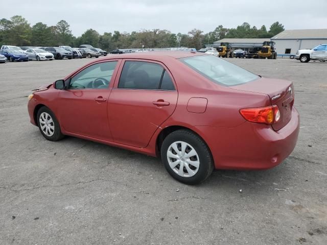 2010 Toyota Corolla Base