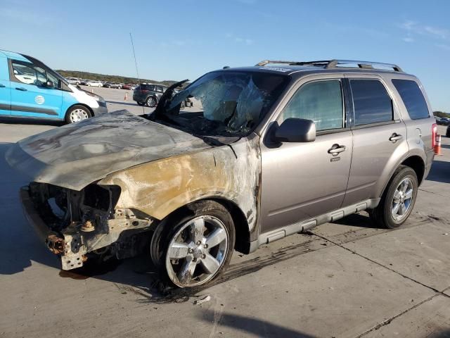 2010 Ford Escape Limited