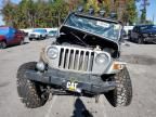 2001 Jeep Wrangler / TJ SE