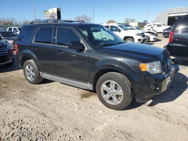 2011 Ford Escape Limited