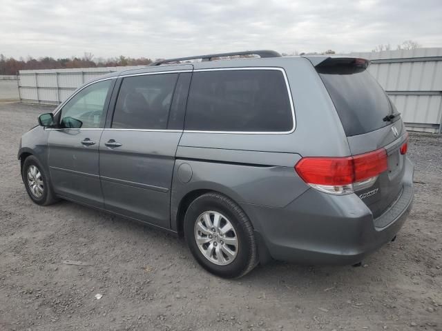 2009 Honda Odyssey EXL