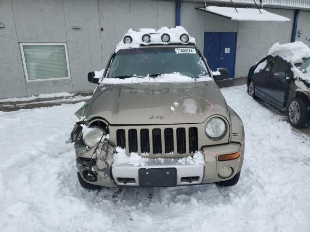 2003 Jeep Liberty Renegade