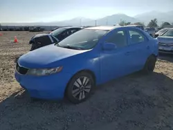 Salvage cars for sale at Magna, UT auction: 2013 KIA Forte EX