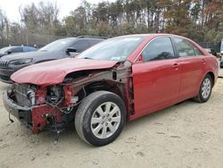 Toyota Camry salvage cars for sale: 2008 Toyota Camry Hybrid