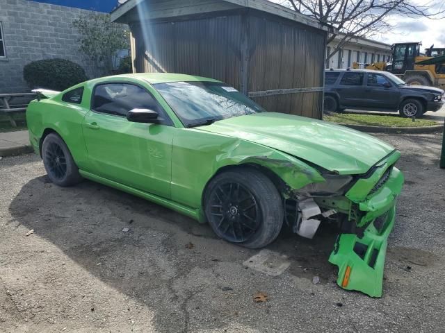 2014 Ford Mustang