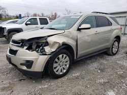 Salvage cars for sale at Walton, KY auction: 2010 Chevrolet Equinox LT