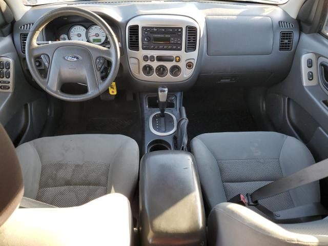 2007 Ford Escape XLT