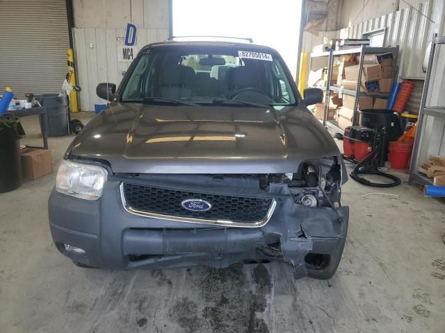 2004 Ford Escape XLT