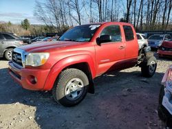 Toyota Tacoma salvage cars for sale: 2009 Toyota Tacoma Access Cab