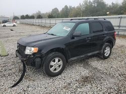 Ford salvage cars for sale: 2010 Ford Escape XLT