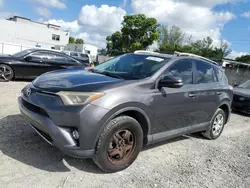 Salvage cars for sale at Opa Locka, FL auction: 2016 Toyota Rav4 XLE