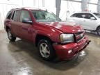 2009 Chevrolet Trailblazer LT