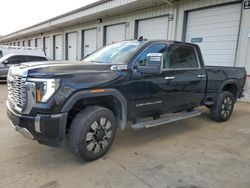 2024 GMC Sierra K2500 Denali en venta en Louisville, KY