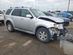 2010 Ford Escape Limited