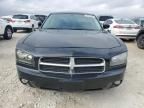 2010 Dodge Charger SXT