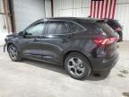 2024 Ford Escape ST Line