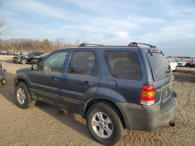 2005 Ford Escape XLT