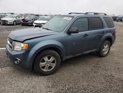 Vehiculos salvage en venta de Copart Earlington, KY: 2012 Ford Escape XLT