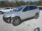 2012 Hyundai Santa FE GLS