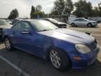 2001 Mercedes-Benz SLK 230 Kompressor