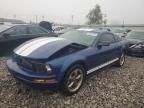 2006 Ford Mustang