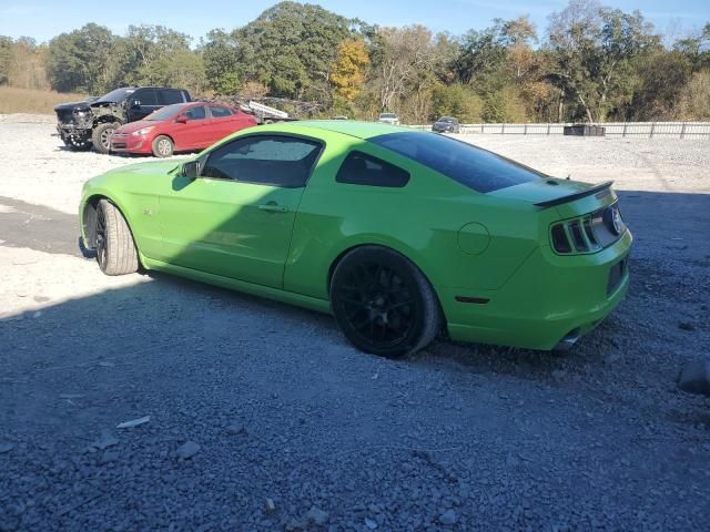 2013 Ford Mustang