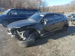 Lamborghini salvage cars for sale: 2020 Lamborghini Urus