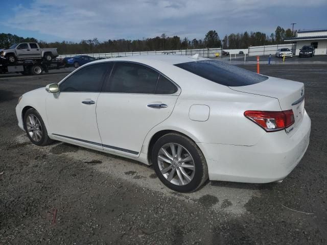 2010 Lexus ES 350