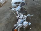 2006 Harley-Davidson Flstci