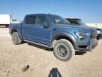 2019 Ford F150 Raptor