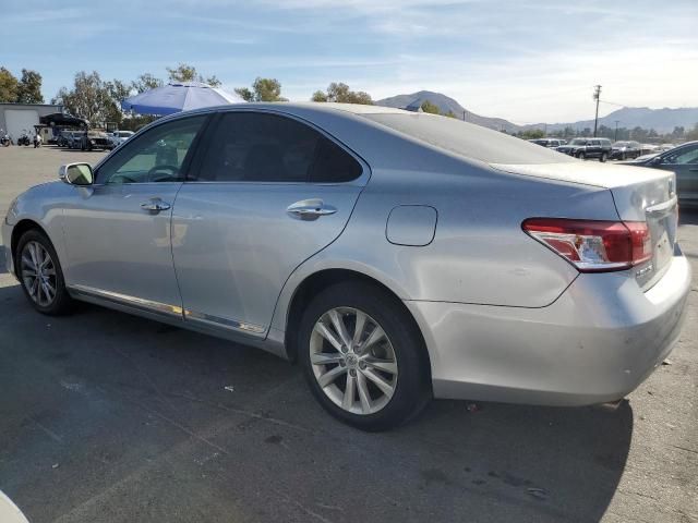 2010 Lexus ES 350