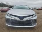 2019 Toyota Camry Hybrid