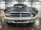 2002 Dodge Dakota SLT